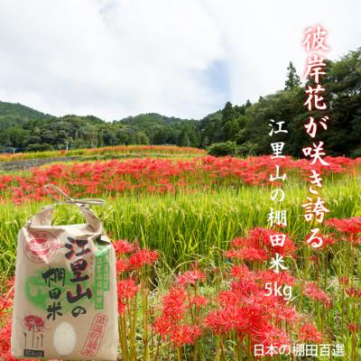 ふるさと納税 小城市 日本の棚田百選選定 江里山(えりやま)の棚田米(5kg)