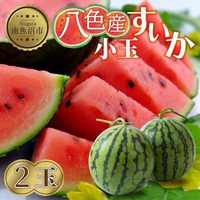 ふるさと納税 南魚沼市 新潟県 南魚沼市 八色産 小玉 すいか 2玉[7月下旬より発送予定]