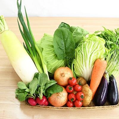 ふるさと納税 京丹波町 京丹波 旬菜セット レギュラー 野菜 野菜セット 野菜詰め合わせ |  | 01