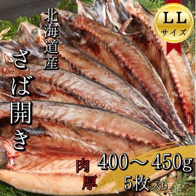 ふるさと納税 せたな町 [北海道産]塩さば開き LLサイズ5枚(合計2〜2.25kg) 真空パック入り 一夜干し 干物