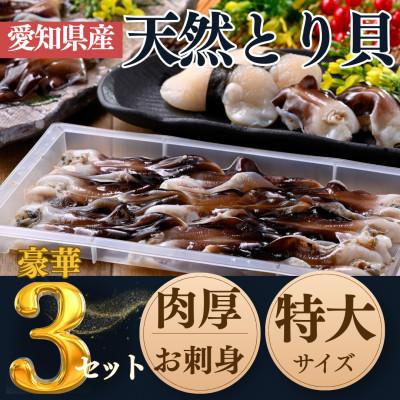 ふるさと納税 南知多町 純国産[貝専門店] 肉厚 トリ貝 刺身 [特大9枚入り] 3セット 岬だより