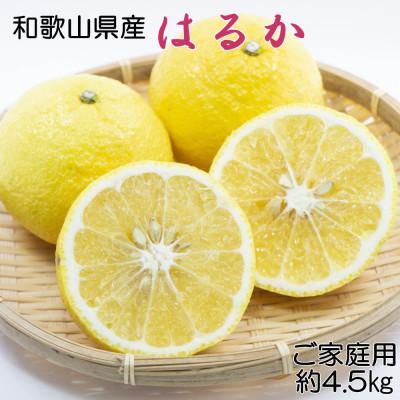 ふるさと納税 美浜町 [さわやか柑橘]和歌山県産はるかみかん約4.5kg(サイズ混合 ご家庭用)[美浜町]