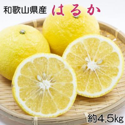 ふるさと納税 すさみ町 [さわやか柑橘]和歌山県産はるかみかん約4.5kg(サイズ混合 秀品)[すさみ町]