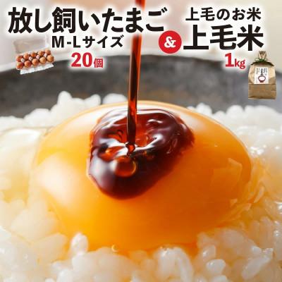 ふるさと納税 上毛町 放し飼いたまご「かぐやひめ」20個&amp;米1kg[福岡上毛町産]