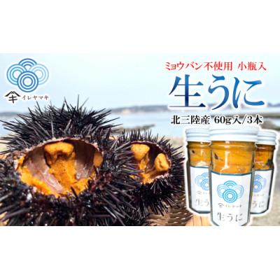 ふるさと納税 久慈市 [ミョウバン不使用!]生うに 60g×3本セット 36-1