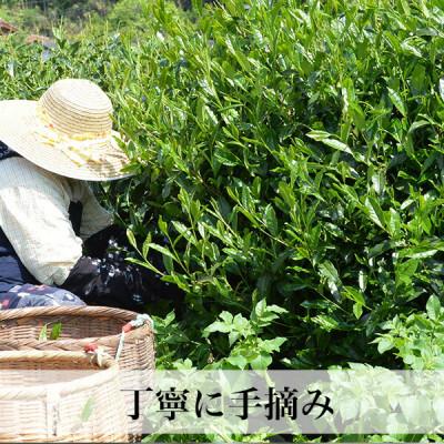 ふるさと納税 芦屋町 【2026年産ギフト】星野村の八女茶 飲みくらべ2本セット 化粧箱入り_2