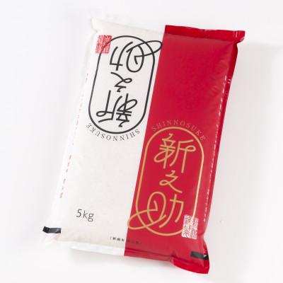 ふるさと納税 村上市 新米[令和7年産米]岩船産新之助 5kg 1013002