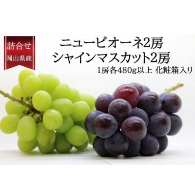 ふるさと納税 美咲町 [2026年発送]岡山県産詰合/ニューピオーネ2房・シャインマスカット晴王2房(1房各480g以上)
