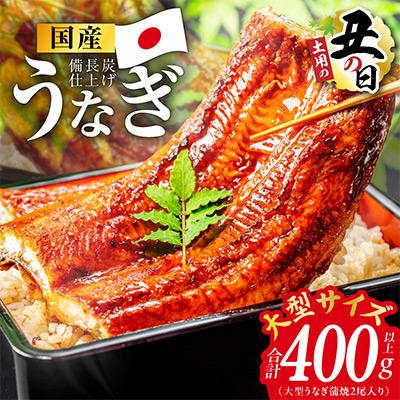 ふるさと納税 泉佐野市 [土用の丑の日]大型サイズ 国産うなぎ 2尾 合計400g以上 先行予約 kgp0022-1d