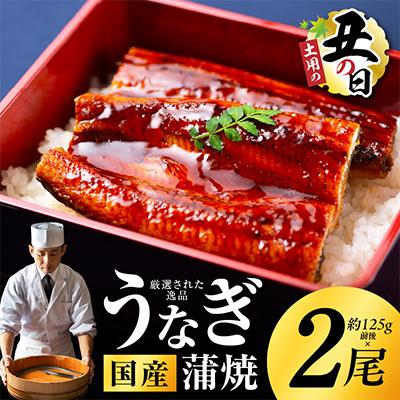 ふるさと納税 泉佐野市 [土用の丑の日]国産うなぎ 約125g×2尾 秘伝のたれ 蒲焼 先行予約 kgp0039-1d