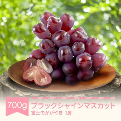 ふるさと納税 村山市 ブラックシャインマスカット 富士のかがやき 約700g 1房 2026年産