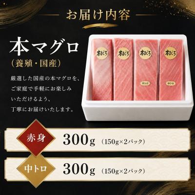 ふるさと納税 松阪市 国産本まぐろ (赤身・中トロ) 短冊セット 600g以上 (150g以上×4本) |  | 03