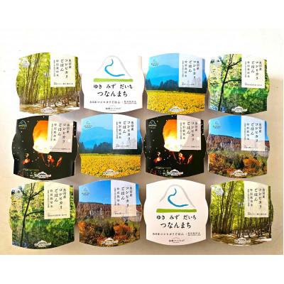 ふるさと納税 津南町 魚沼・津南産コシヒカリのパックごはん 苗場プリンセス米(12パック)