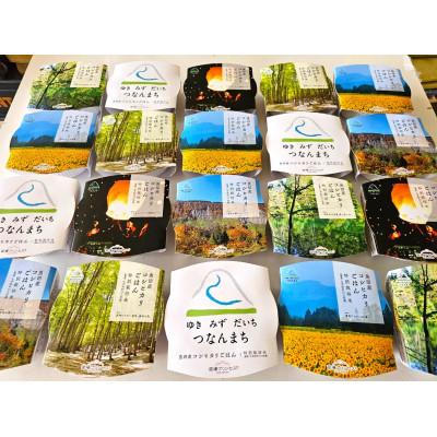 ふるさと納税 津南町 魚沼・津南産コシヒカリ 苗場プリンセス米パックごはん(20パック入り)