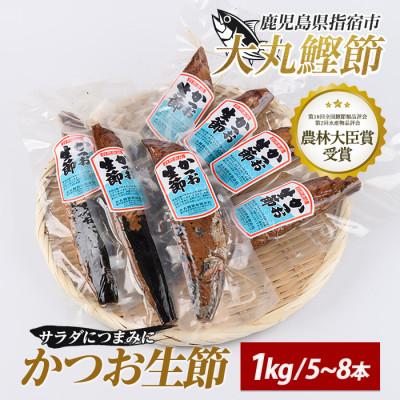 ふるさと納税 指宿市 生節(かつおなまり節)プレーン約1kg(本数:5〜8本)(大丸鰹節/IB124-005)
