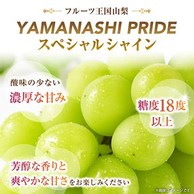 ふるさと納税 山梨市 2026年発送 フルーツ王国山梨産厳選 シャインマスカット 1房(約500-600g) |  | 02