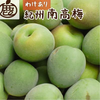 ふるさと納税 美浜町 家庭用 紀州南高梅(青梅)2kg+250g(傷み補償分)[梅干し・梅酒・梅ジュースに][訳あり]