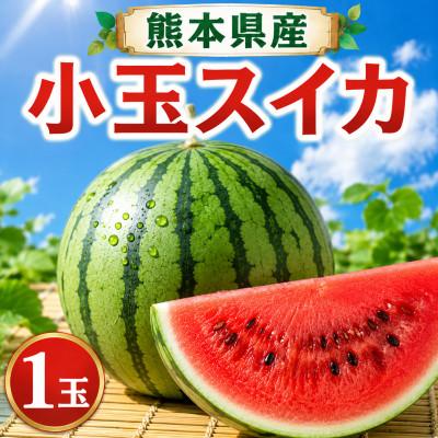 ふるさと納税 和水町 熊本県産 小玉すいか 1玉(和水町)