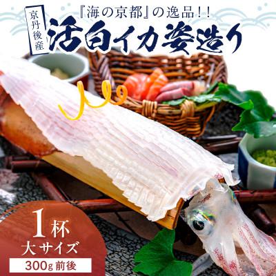ふるさと納税 京丹後市 京丹後産『海の京都』の逸品!活白イカ姿造り(クリスタル白いか)大サイズ 1杯(300g前後) 冷凍