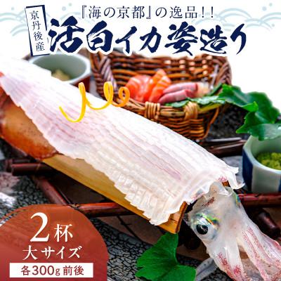 ふるさと納税 京丹後市 京丹後産『海の京都』の逸品!活白イカ姿造り(クリスタル白いか)大サイズ 2杯(300g前後) 冷凍