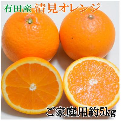 ふるさと納税 有田川町 [濃厚]有田産清見オレンジ約5kg(M〜3Lサイズおまかせ ご家庭用)(有田川町)
