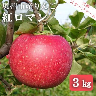 ふるさと納税 奥州市 [スターファーム]こだわり栽培の 紅ロマン 厳選品 約3kg 岩手県奥州市産りんご [AY001]