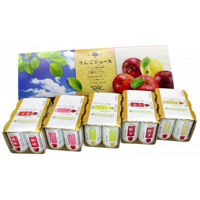 ふるさと納税 長野市 信州りんごジュース5種セレクト(紅玉) 160g/6本×5種類