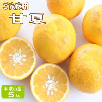 ふるさと納税 印南町 [ご家庭用]甘夏(あまなつ)約5kg 和歌山産