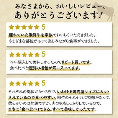ふるさと納税 高山市 飛騨牛6種食べ比べセット FH017VP |  | 03