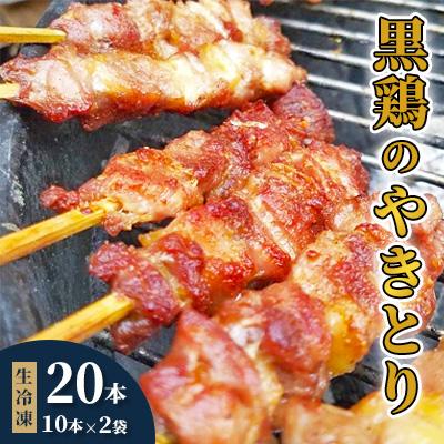 ふるさと納税 中島村 [生冷凍]黒鶏のやきとり20本