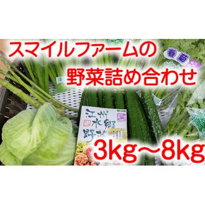 ふるさと納税 近江八幡市 近江農家野菜詰め合わせセット3kg〜8kg