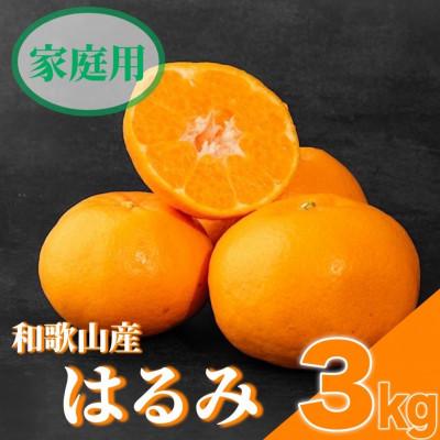 ふるさと納税 湯浅町 [2026年1月下旬より順次発送][先行受付]はるみ 3kg家庭用 (S〜4Lサイズ混合)