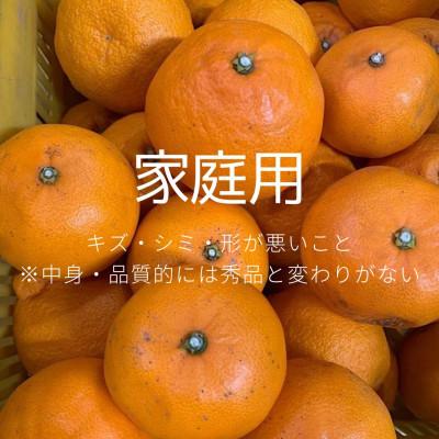 ふるさと納税 湯浅町 2026年2月下旬より順次発送 せとか 約3kg 家庭用