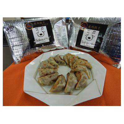 ふるさと納税 揖斐川町 鹿肉餃子20個&amp;鹿肉餃子味噌風味20個セット