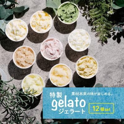 ふるさと納税 下妻市 地元の素材をふんだんに使った特製ジェラート 100ml×12個