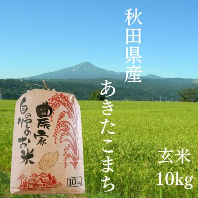ふるさと納税 由利本荘市 [令和7年産先行受付]秋田県産 あきたこまち 玄米 農家自慢のお米 10kg×1袋