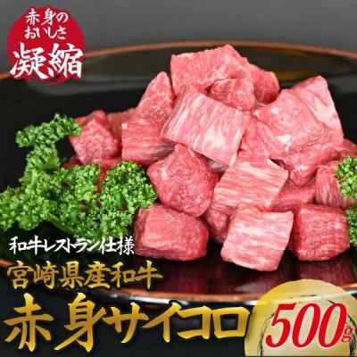 ふるさと納税 小林市 和牛レストランの宮崎県産和牛赤身サイコロ 500g(小林市)(C017)