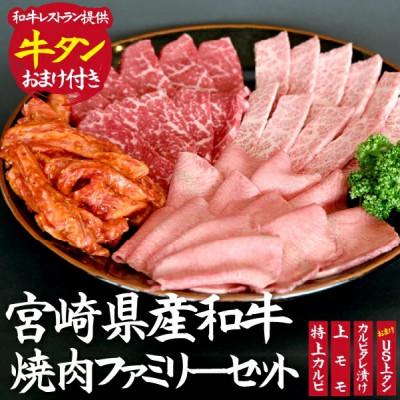 ふるさと納税 小林市 サンプル付き・和牛レストランの宮崎県産和牛焼肉ファミリーセット(小林市)(C020)