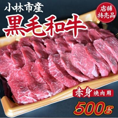 ふるさと納税 小林市 精肉店からお届け・小林市産黒毛和牛 赤身焼肉用 500g(小林市)(C152)