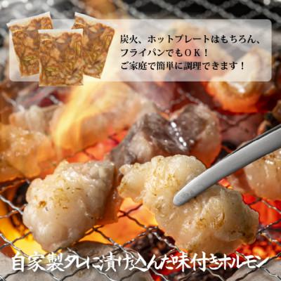ふるさと納税 小林市 肉屋で人気の宮崎県産黒毛和牛濃厚味付けホルモン900g(小林市)(C223)