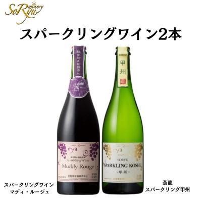 ふるさと納税 甲州市 スパークリングワイン マディルージュと甲州2本セット