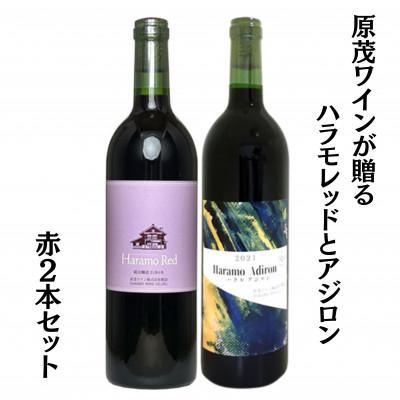 ふるさと納税 甲州市 原茂ワインが贈るハラモレッドとアジロン赤2本セット