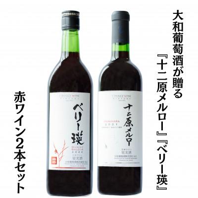 ふるさと納税 甲州市 大和葡萄酒が贈る『十二原メルロー』『ベリー瑛』赤ワイン2本セット