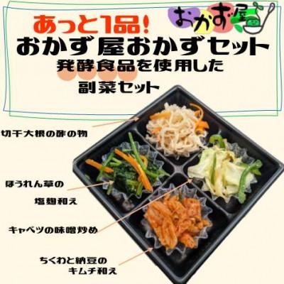 ふるさと納税 南砺市 身体にやさしい発酵食品が摂れるおかずセット6個
