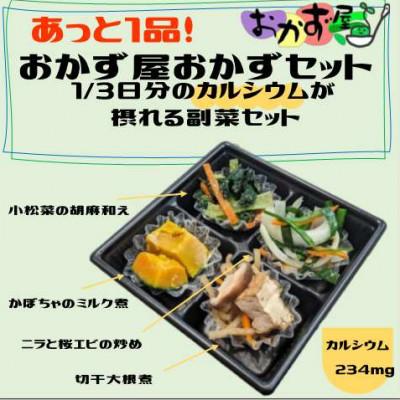ふるさと納税 南砺市 身体に必要な発酵食品、食物繊維が摂れるおかずセット6個
