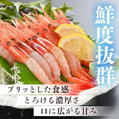 ふるさと納税 越前町 鮮度抜群!越前町産 甘えび 250g × 2P セット |  | 01