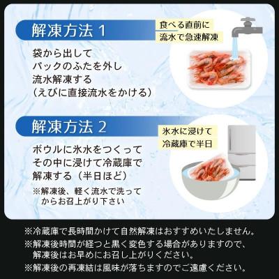 ふるさと納税 越前町 鮮度抜群!越前町産 甘えび 250g × 2P セット |  | 03