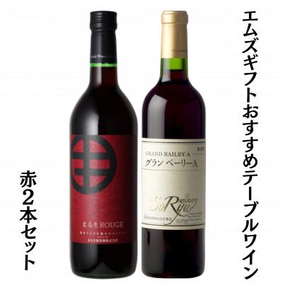 ふるさと納税 甲州市 エムズギフトおススメテーブルワイン赤2本セット