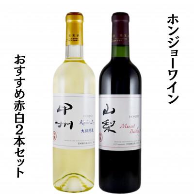 ふるさと納税 甲州市 ホンジョーワインおすすめ赤白2本セット