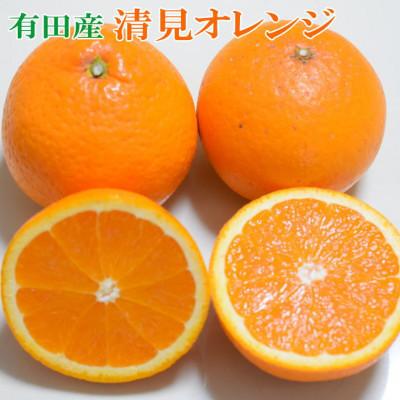 ふるさと納税 美浜町 [濃厚]有田産清見オレンジ約5kg(M〜3Lサイズおまかせ)ご家庭用(美浜町)
